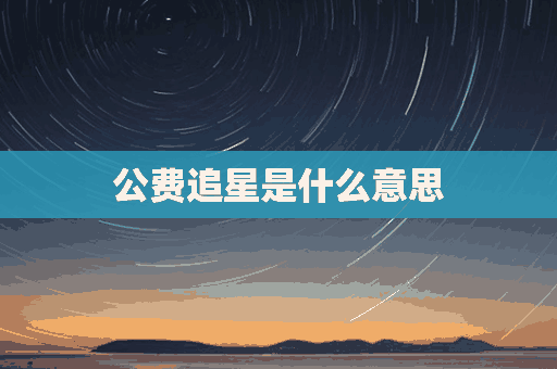 公费追星是什么意思(什么叫公费追星)